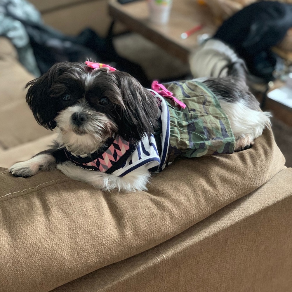 Meet your Posher, Ebony